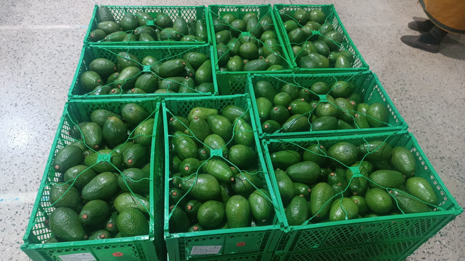 Our packaging options