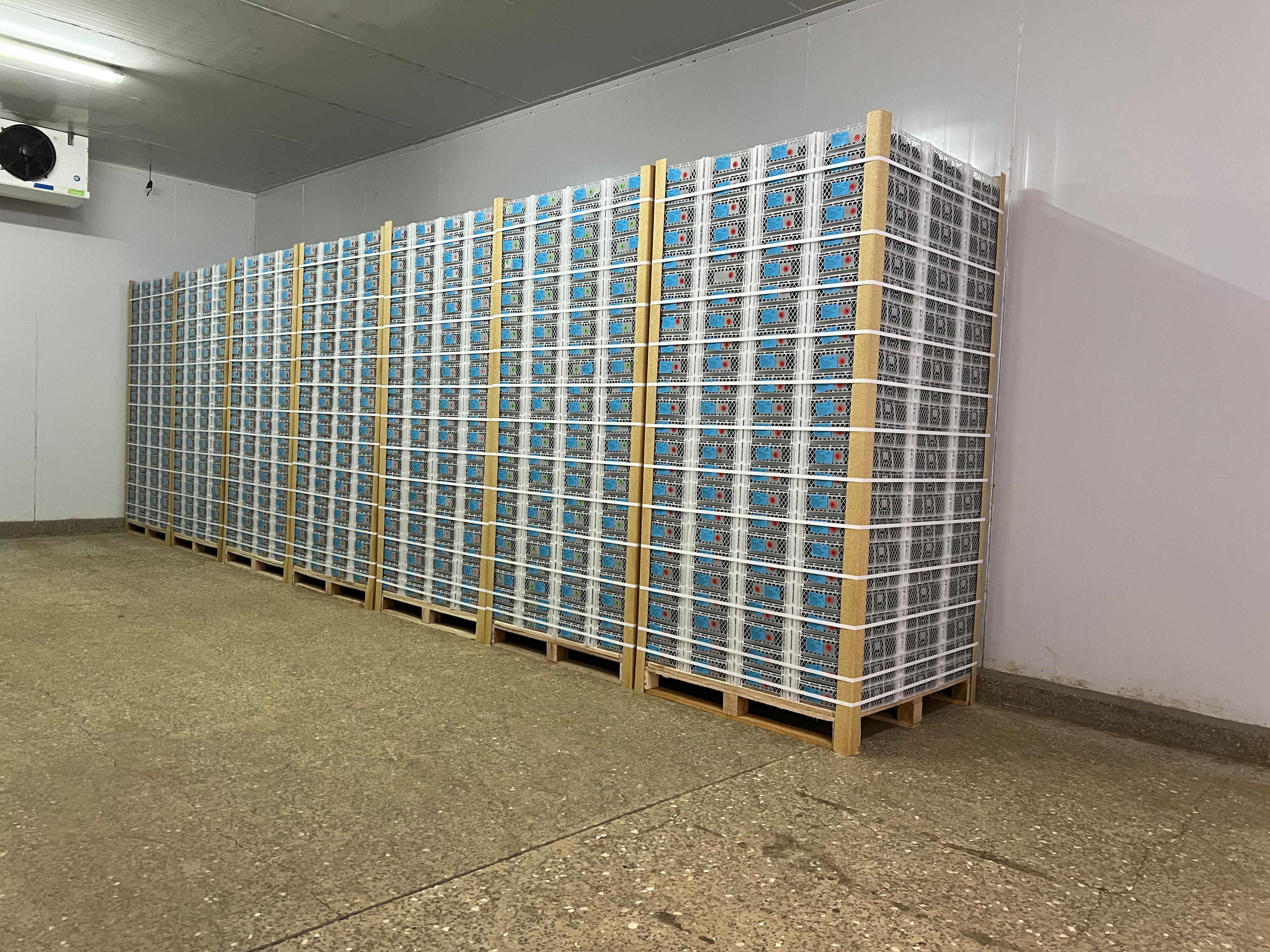 Forced Air Cooling (Cold  Room Precooling)